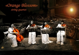 orange blossom string quartet